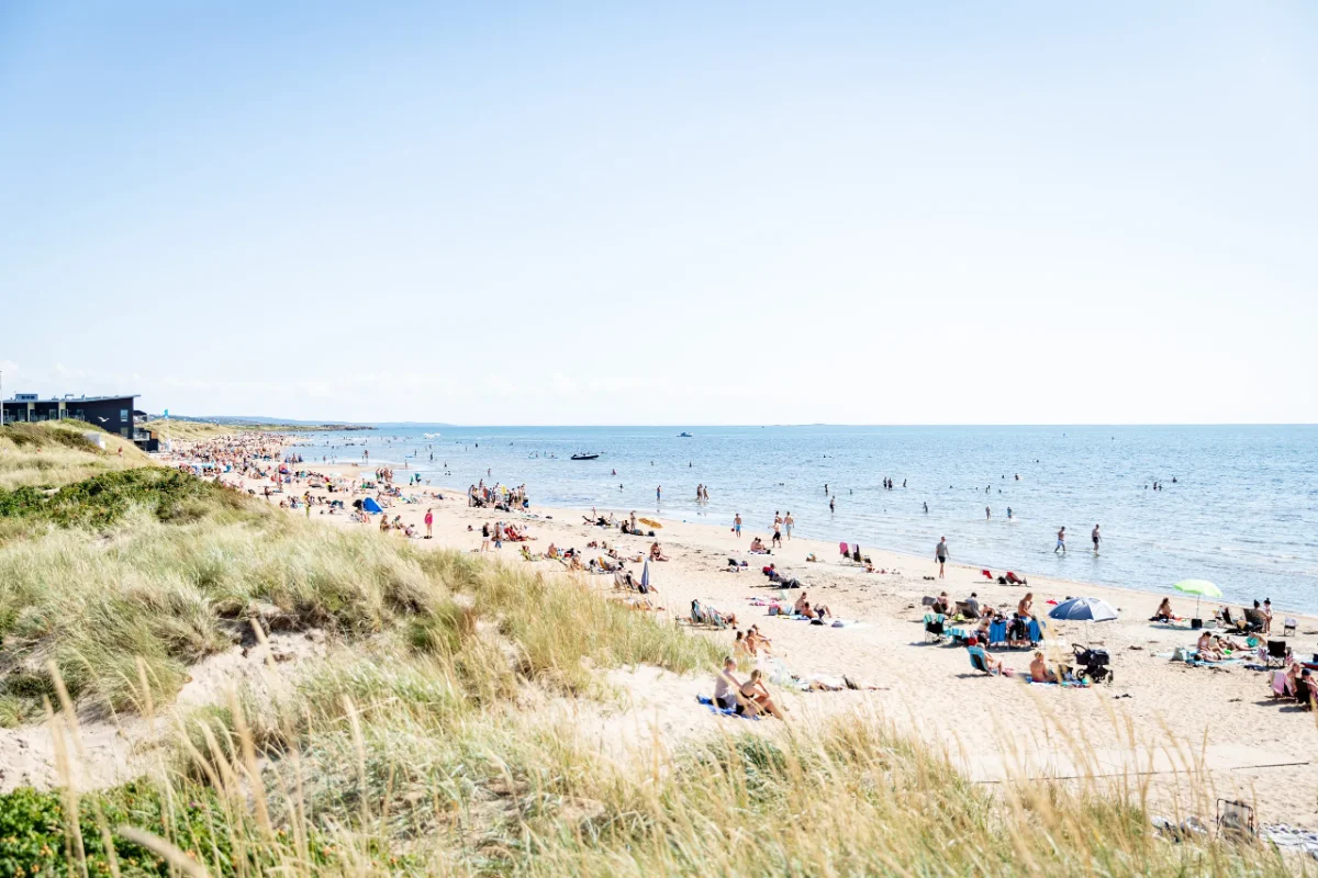 The Haaland coastline